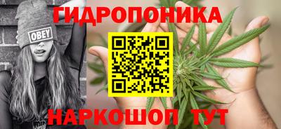 мет Боровичи
