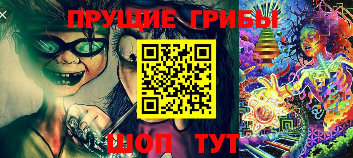 Горячий Ключ  купить наркоту  Вход с VPN  Псилоцибиновые грибы GOLDEN TEACHER 