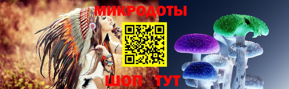 Галлюциногенные грибы мухоморы Горячий Ключ